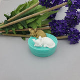 Silicone Mold Sleeping Mouse Flexible for Crafts,  Resin, Polymer Clay.